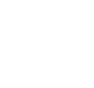 Chiropractor in Belleville NJ that accepts Cigna